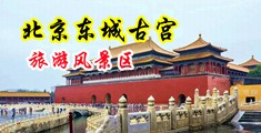 美女网站操逼视频10分钟中国北京-东城古宫旅游风景区